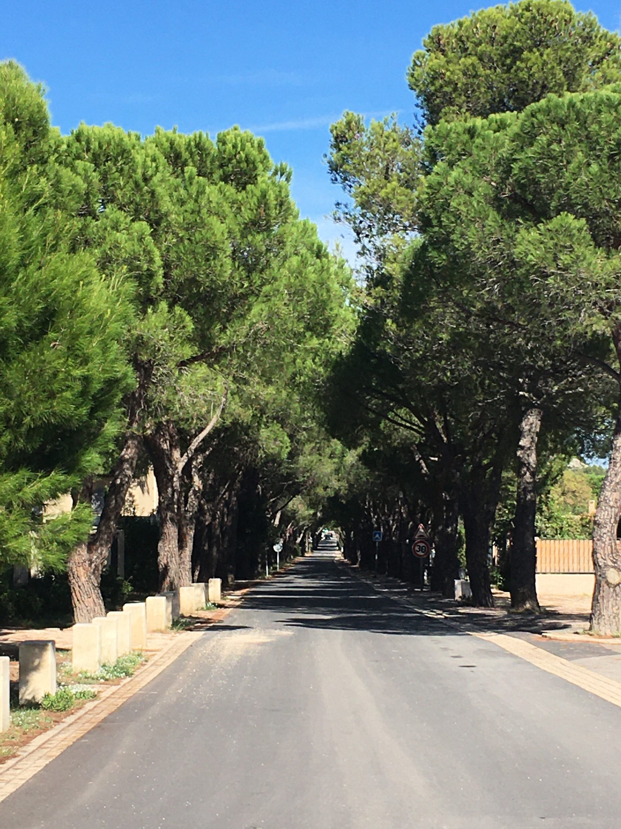 Avenue de la Lèque